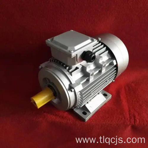 4445YH series three-phase asynchronous motor